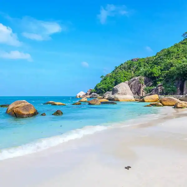 Séjour linguistique en Thaïlande et découverte de Ko Samui : l'alliance parfaite entre apprentissage de l'anglais et détente paradisiaque avec Sherwood School.
