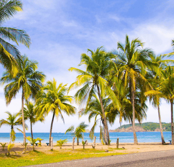 Apprendre l'espagnol en immersion au Costa Rica : séjour linguistique entre nature sauvage et plages idylliques avec Sherwood School.